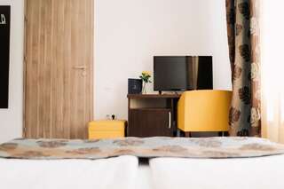Отели типа «постель и завтрак» Vila Anca Сибиу Двухместный номер с 1 кроватью и собственной ванной комнатой-3