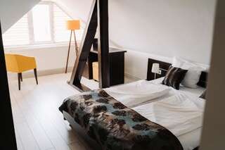 Отели типа «постель и завтрак» Vila Anca Сибиу Двухместный номер с 1 кроватью и собственной ванной комнатой-6