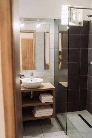 Отели типа «постель и завтрак» Vila Anca Сибиу Трехместный номер с собственной ванной комнатой-3