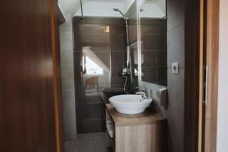 Отели типа «постель и завтрак» Vila Anca Сибиу Двухместный номер с 1 кроватью и собственной ванной комнатой-8
