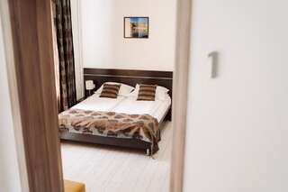 Отели типа «постель и завтрак» Vila Anca Сибиу Двухместный номер с 1 кроватью и собственной ванной комнатой-1